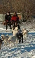 Alaska Adventure - Day 1: Santa, Dogs and Kids Image