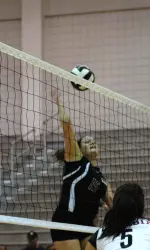 Blue Hose End Spartan Win Streak, 3-0 Image