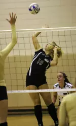 Spartans Split Set of Matches At Spikefest Tournament Image