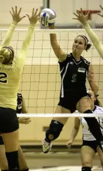 Dolphins Down Spartans, 3-0 Image