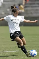 Upstate Falls, 3-1, At Campbell Image