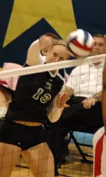 The Home Stand Continues Image