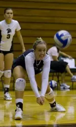 Spartans Fall To Bears, 3-0 Image