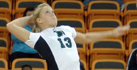 The Southern Trek Image