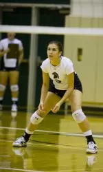 The Music City Comes Calling To Upstate Image