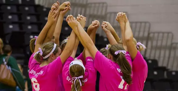 Upstate Raises More Than $1,000 For Dig Pink Fundraiser Image