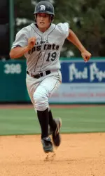 The Final Homestand Image