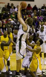 Rodriguez, Camels Run Past Upstate Image