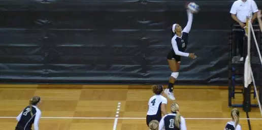 Spartans Fall To Cougars In Last Day Of Tourney Image