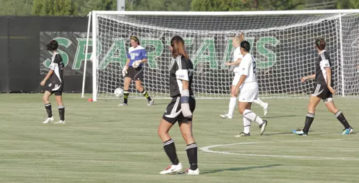 Upstate Falls on the Road at Lipscomb Image