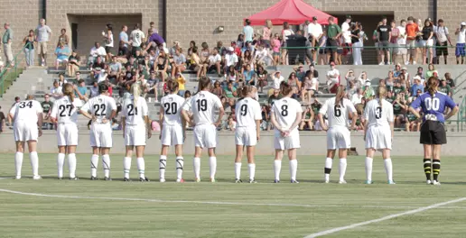 Spartans Fall to Dolphins in A-Sun Action Image