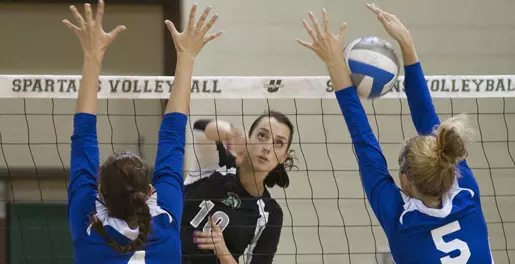 Spartans Dominate Tigers, 3-0 Image