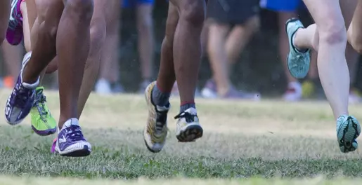 Upstate Cross Country Set to Host Benefit Run for Children Image