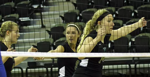 Upstate Falls to ETSU on the Road, 3-0 Image