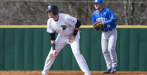 Upstate Falls at No. 8 South Carolina Image