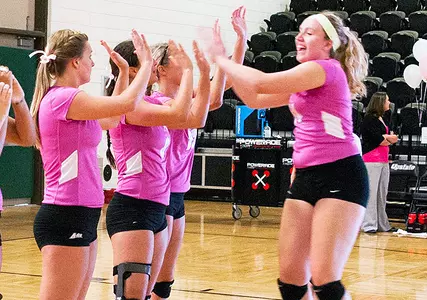 Upstate Entertains Kennesaw State Saturday in Dig Pink Match Image