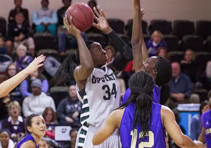 Starling Records Double-Double as Upstate Suffers First Loss of Season at UMES Image