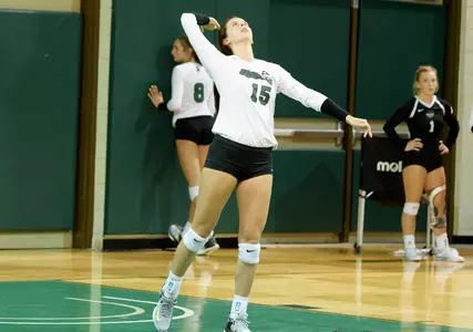 Stetson Defeats Upstate 3-1 Image