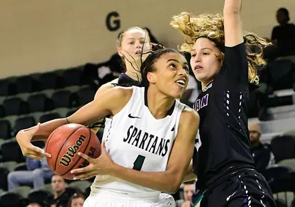 Spartans Fall to Furman on Sunday Afternoon Image