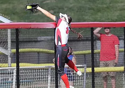 Robinson Named to 2017 All-NPF Team Image