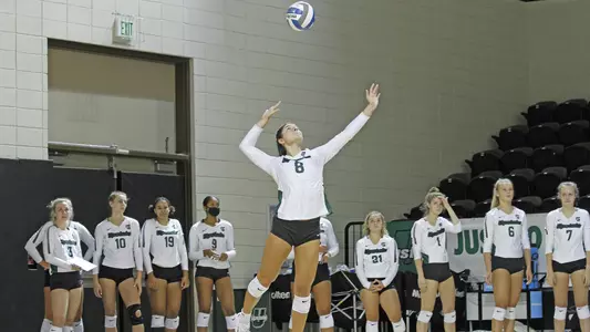 Breeana Gamueda South Carolina State 2021