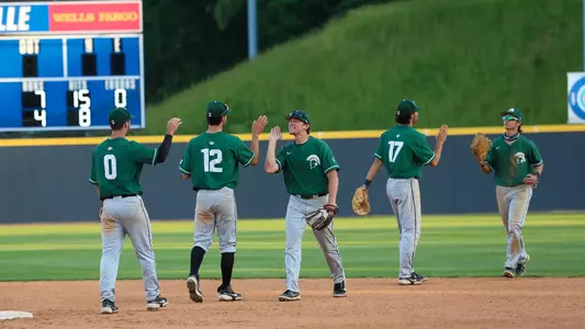 Baseball Celebration
