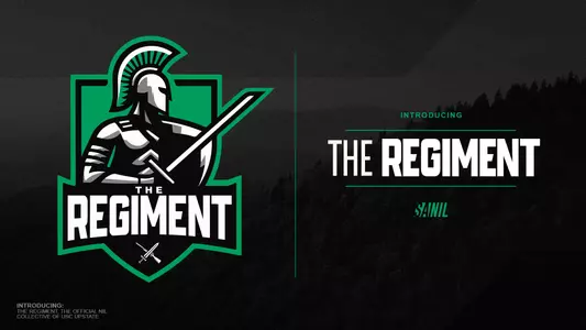 The Regiment Collective - SANIL