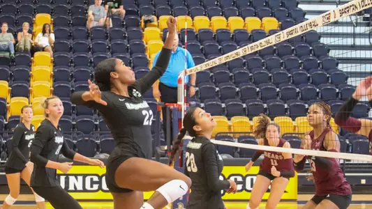 Alona Clinansmith Slide