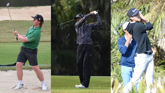 Men's Golf Cobalt Award