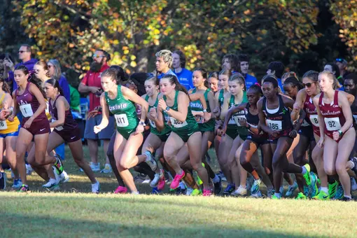 XC Eye Opener