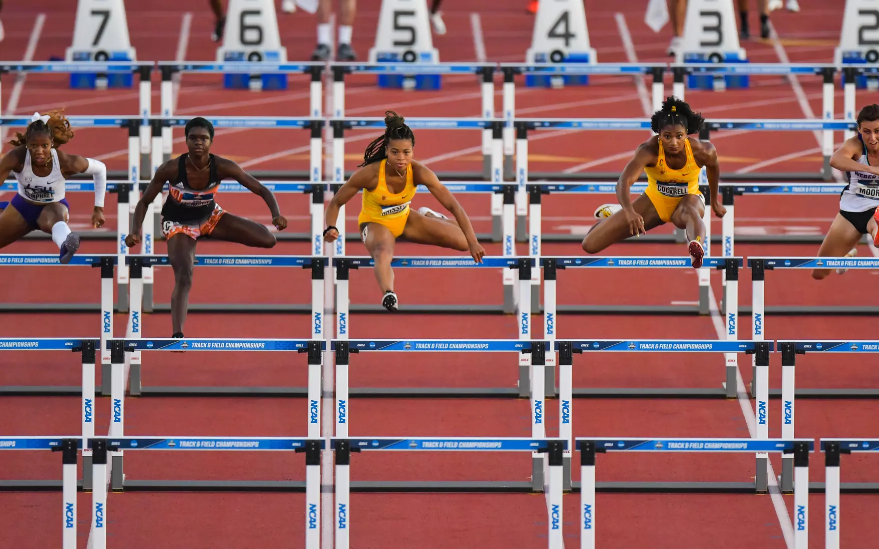 High-quality prints and images from the meet are available for purchase at usctrojans.com/photos.
