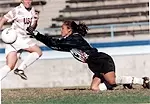 Karin Puccinelli made seven saves against Washington