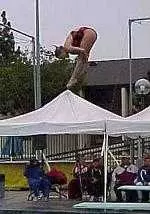 Blythe Hartley won the 1-meter springboard on the first day of the Trojan Diving Invitational.