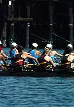 USC's novice boats won two of three races on Saturday at Ballona Creek.