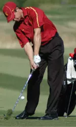 Taylor Wood
