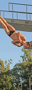 Sophomore Steven Starks earned his second NCAA berth with a second on platform at the 2009 Zone E Championships.