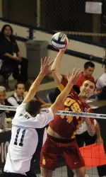 Tony Ciarelli