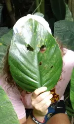 Elizabeth Eddy was at one with nature on our rainforest hike.