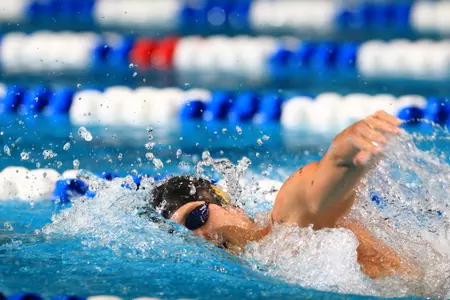 Pawel Furtek in the 500y free at the 2015 NCAA Championships
