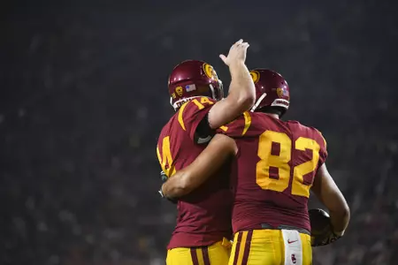 Darnold Petite UT 17