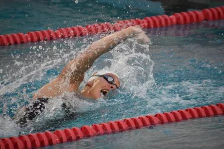 Louise Hansson
