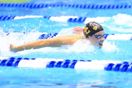 Louise Hansson 2017 NCAA