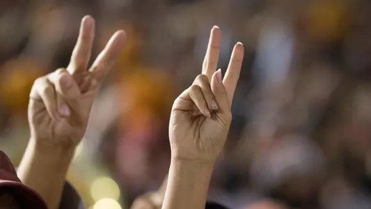 fight-on-fingers-crowd
