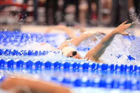 The 2018 NCAA Women's Swimming and Diving Championships hosted at the Ohio State University March 14-17, 2018.