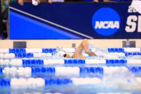 The 2018 NCAA Women's Swimming and Diving Championships hosted at the Ohio State University March 14-17, 2018.