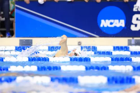The 2018 NCAA Women's Swimming and Diving Championships hosted at the Ohio State University March 14-17, 2018.