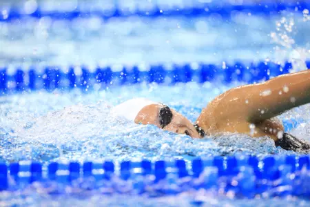 The 2018 NCAA Women's Swimming and Diving Championships hosted at the Ohio State University March 14-17, 2018.