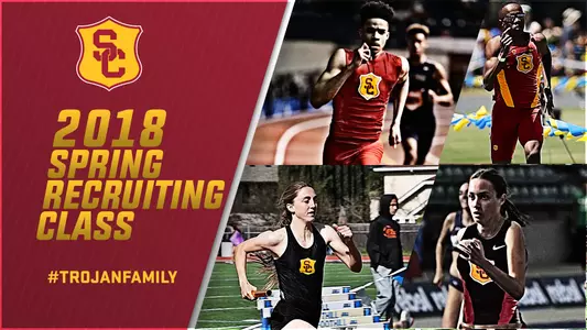 Spring Signing Graphic