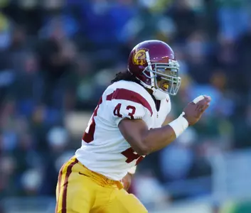 Troy Polamalu