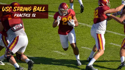 spring ball 12